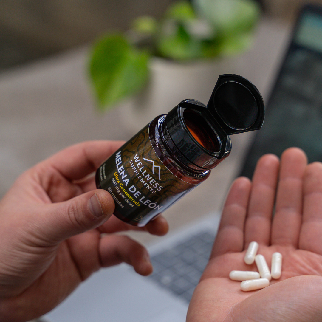El hongo medicinal que protege tu mente y mejora tu enfoque sin necesidad de estimulantes