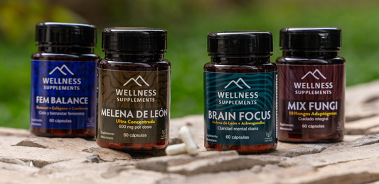 🌿 WellSup: Fórmulas Premium para Cuerpo, Mente y Equilibrio