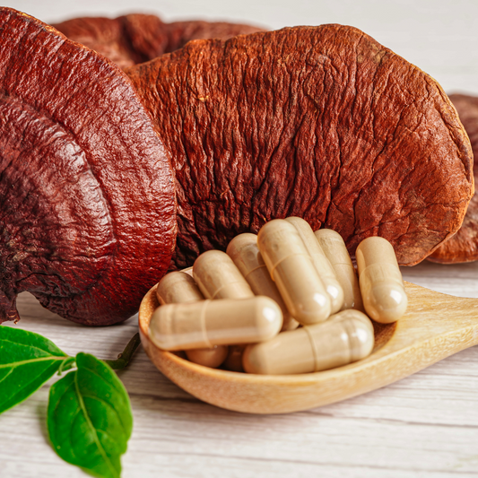 Reishi: el hongo de la calma, la inmunidad y la longevidad
