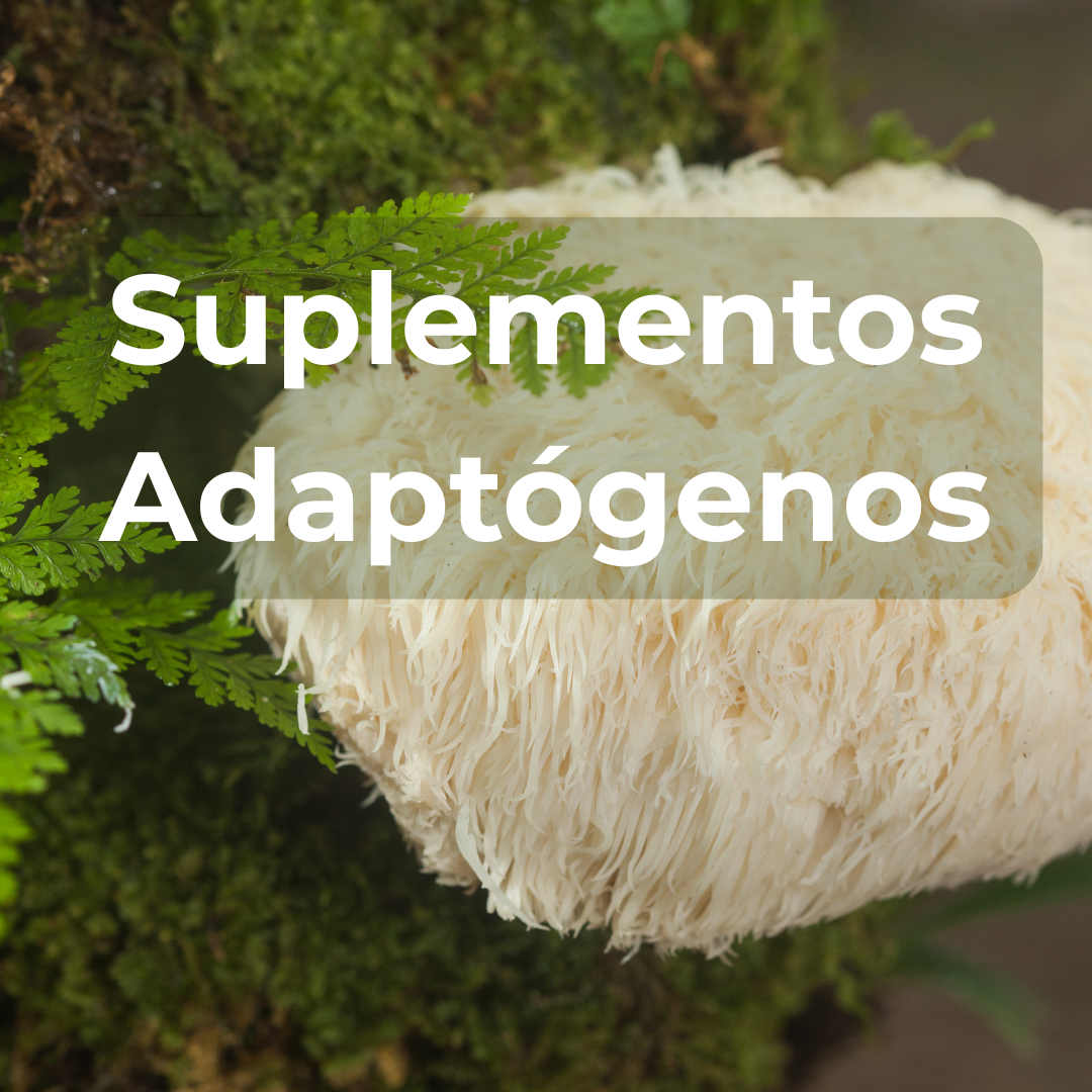 Suplementos Adaptógenos