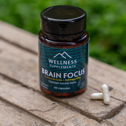 BRAIN FOCUS