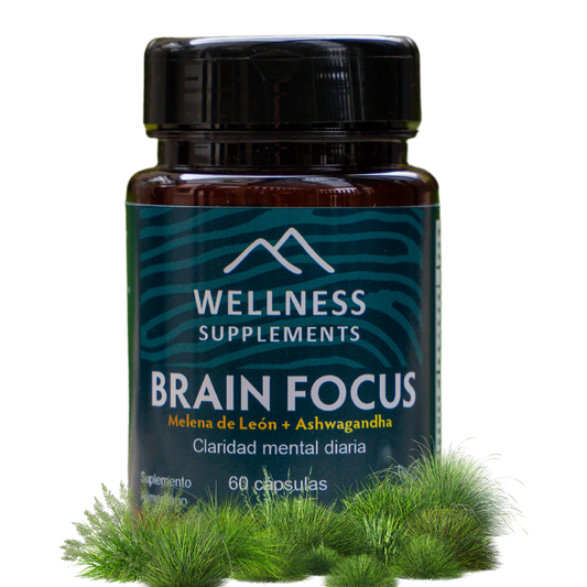BRAIN FOCUS