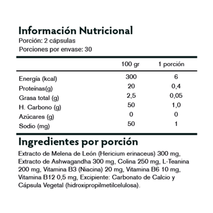 Brain Focus — Wellness Supplements